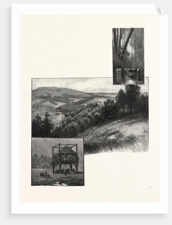 Prince Edward Island, Pastoral Scenes, Canada by Anonymous