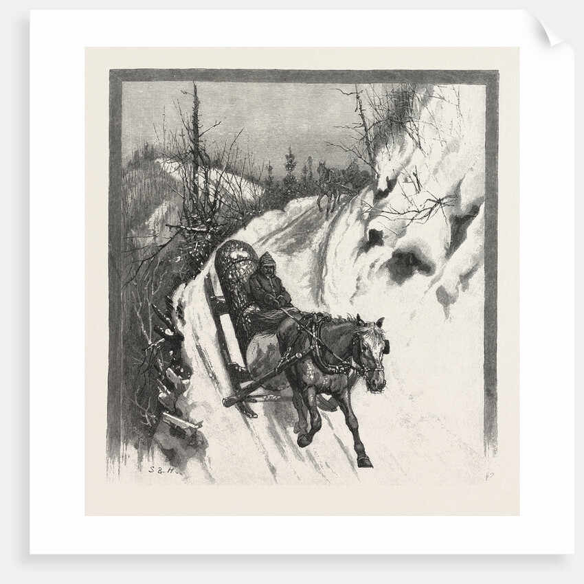 Lumbering, Canada by Anonymous