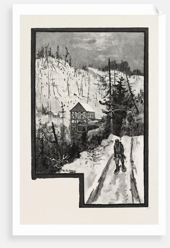 A Sawmill in the Backwoods by Anonymous