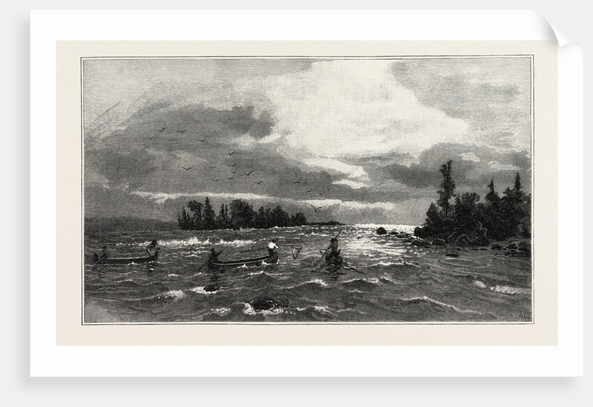 The Upper Lakes, the Sault Ste. Marie Rapids, Canada by Anonymous