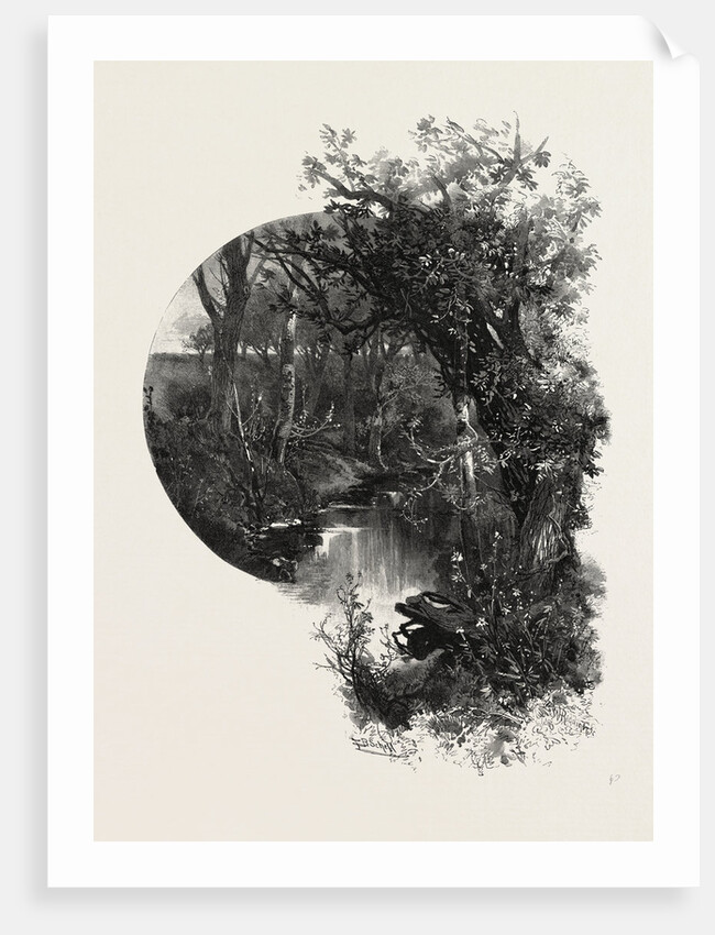 Manitoba, a Prairie Stream, Canada by Anonymous