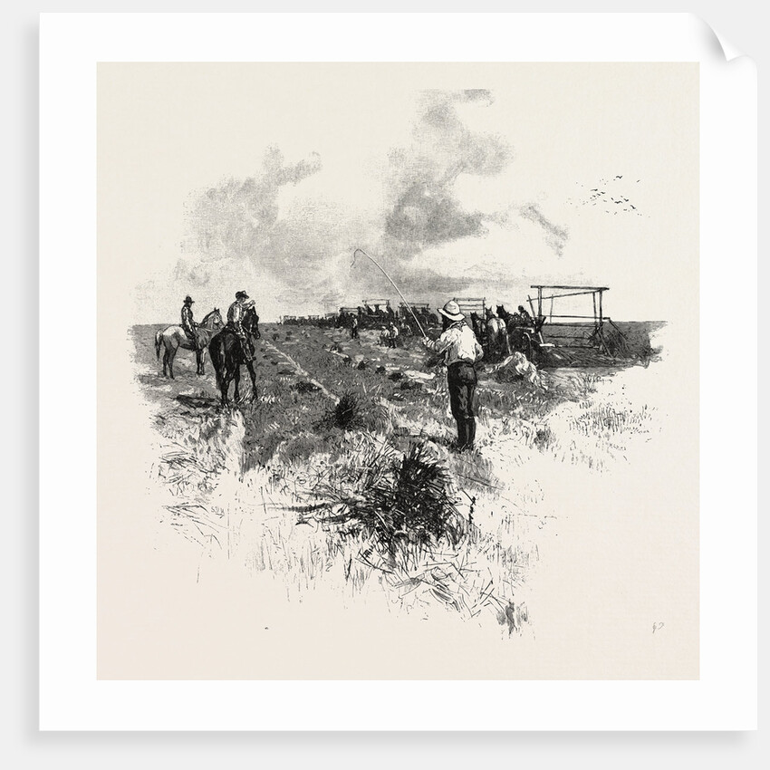 Manitoba, the Harvesters, Canada by Anonymous