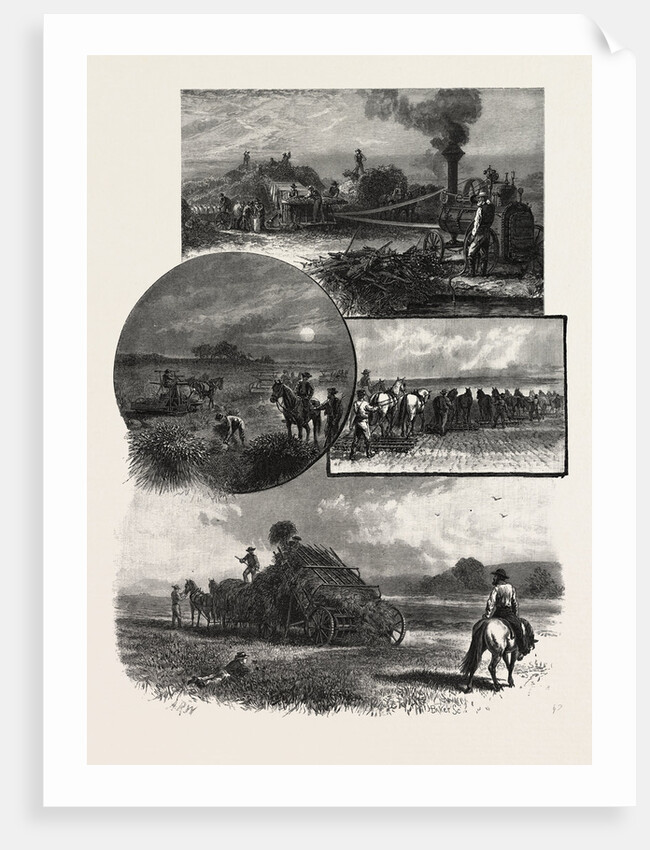 Manitoba, Modern Prairie Farming, Canada by Anonymous
