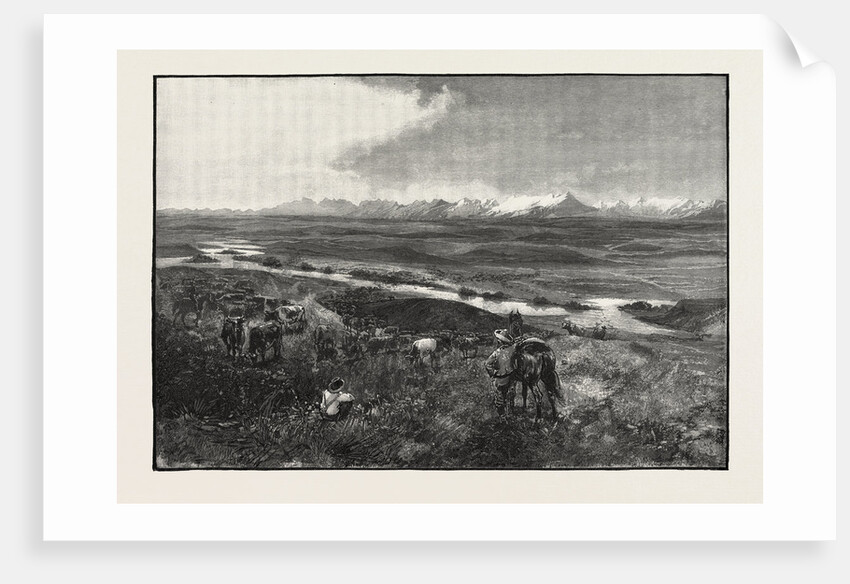 Near Fort Calgarry, Looking Towards the Rocky Mountains, Canada by Anonymous