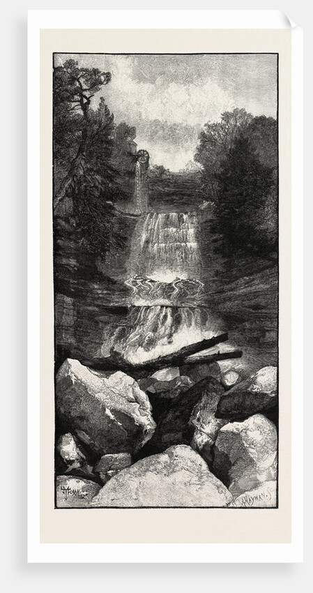 Ravine Near Whirlpool, Canada by Anonymous