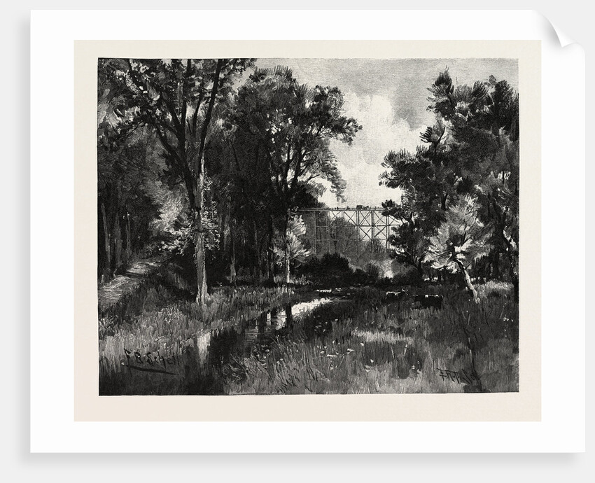 The North Iron Bridge, and Ravine, Rosedale, Canada by Anonymous