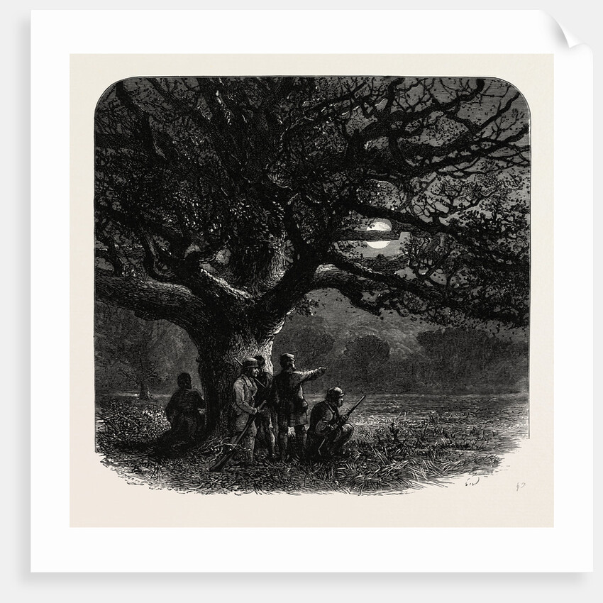 Windsor: The Watch Oak by Anonymous