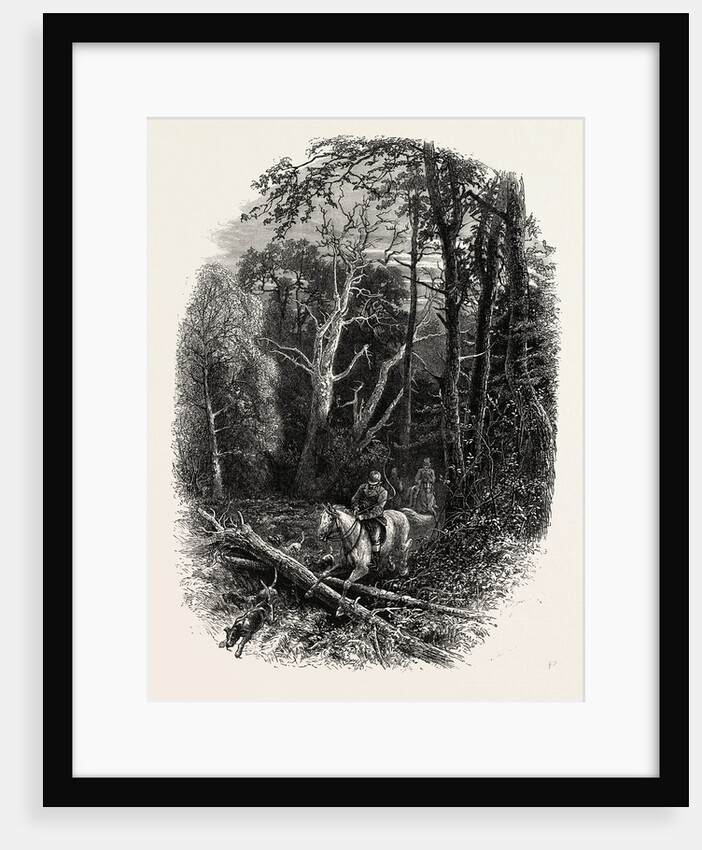 In Cedar Walk, Virginia Water, Village Being in the Borough of Runnymede in Surrey by Anonymous