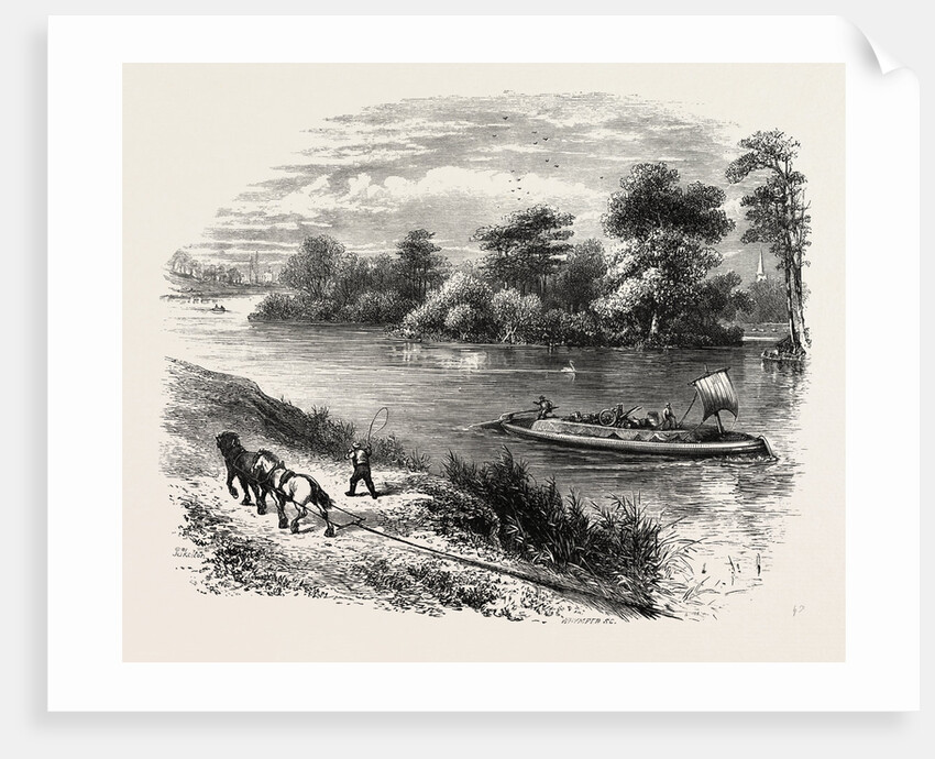 Magna Charta Island, in the River Thames, England by Anonymous