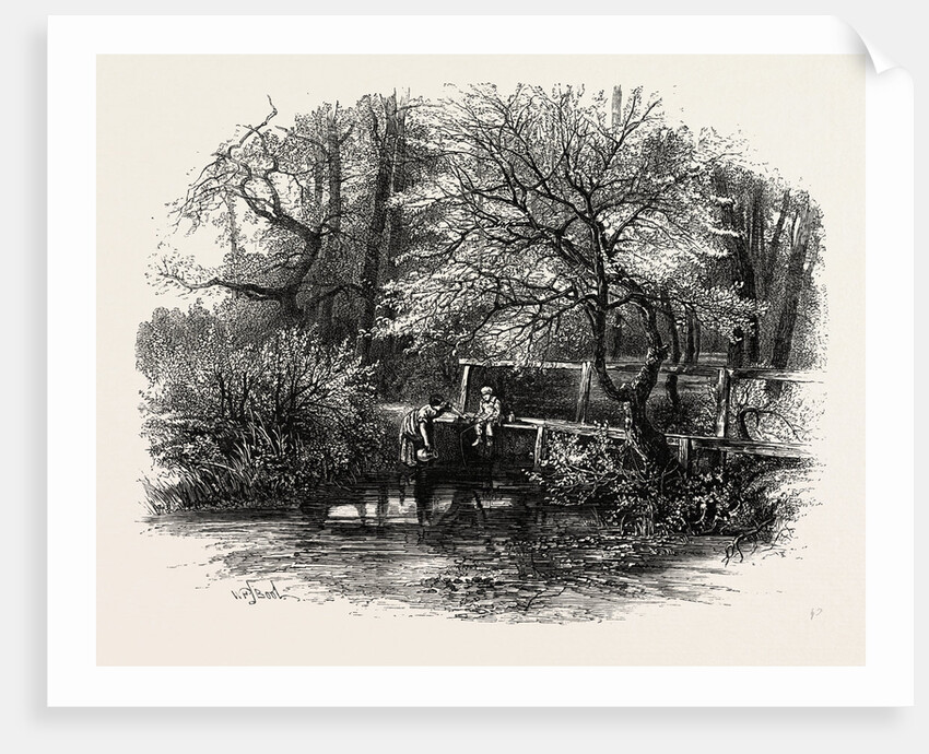 Markeaton Brook, East Midlands of England by Anonymous