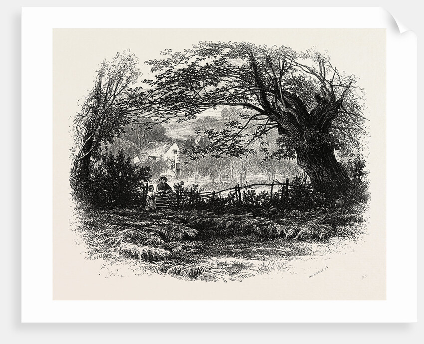In Depedale by Anonymous