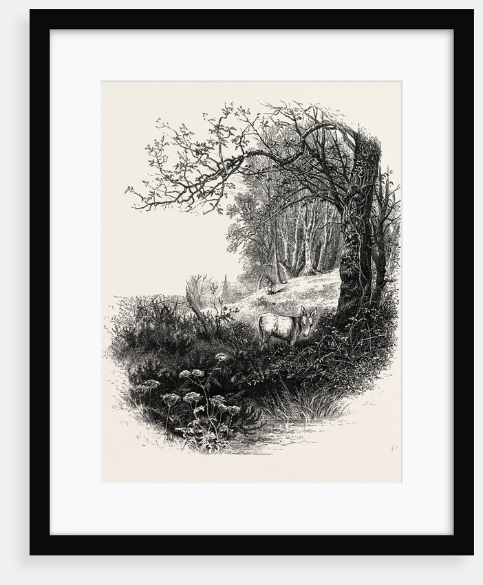 High Beech, Epping Forest by Anonymous