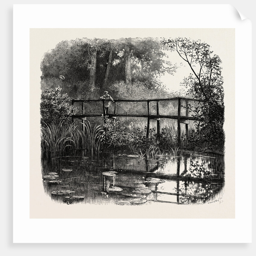 Near Godalming, Surrey, England by Anonymous