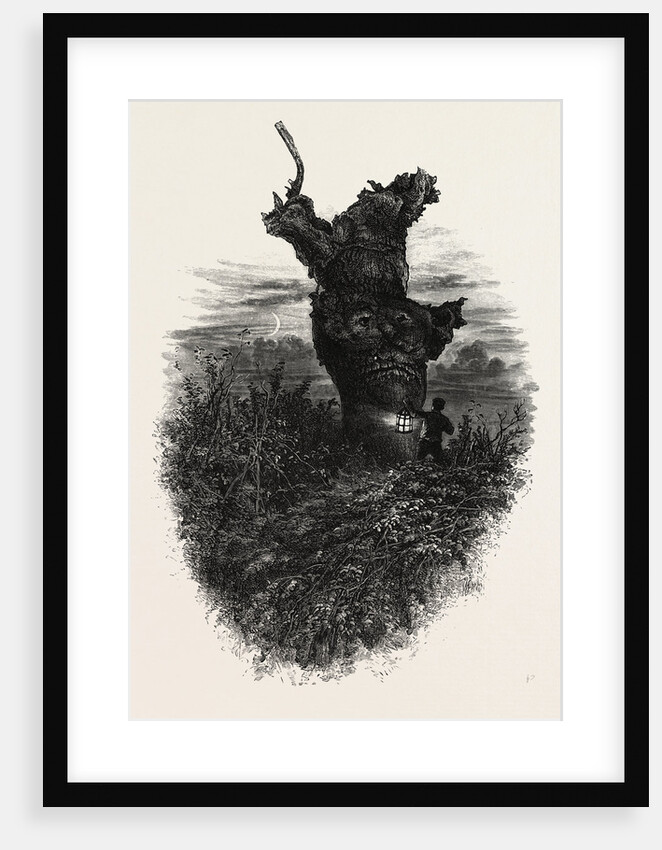 The Monkey Tree, Burnham Beeches by Anonymous