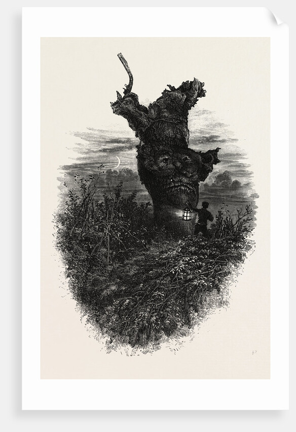The Monkey Tree, Burnham Beeches by Anonymous