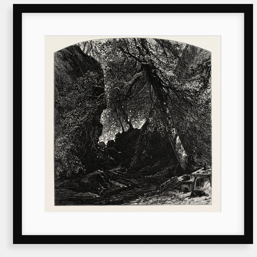 The Dargle, Ireland by Anonymous