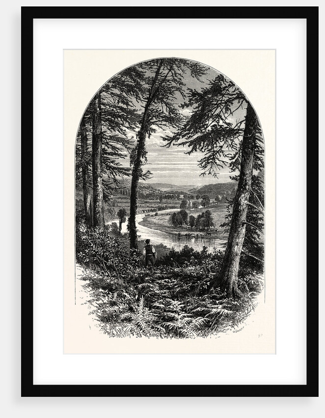 The Vale of Avoca, Ireland by Anonymous