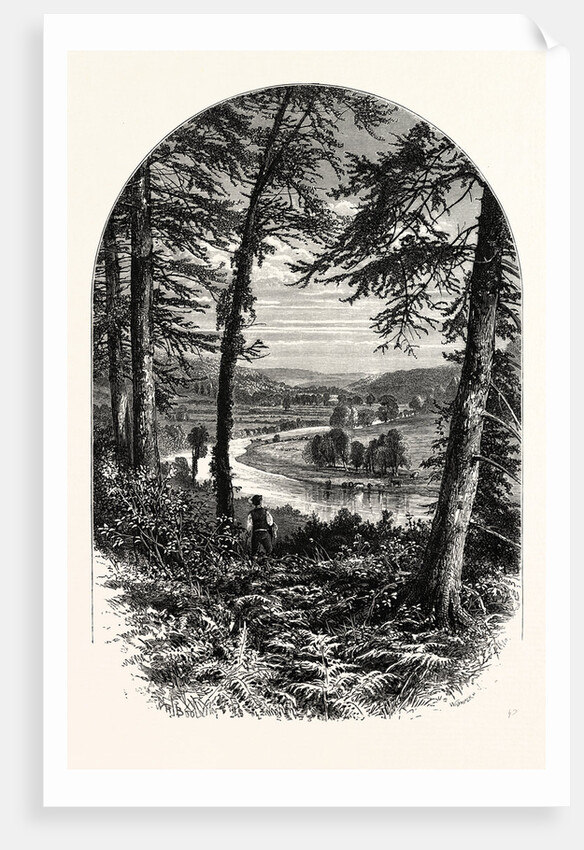 The Vale of Avoca, Ireland by Anonymous