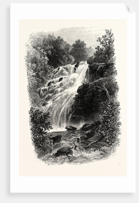 Torc Cascade, Killarney, Ireland by Anonymous