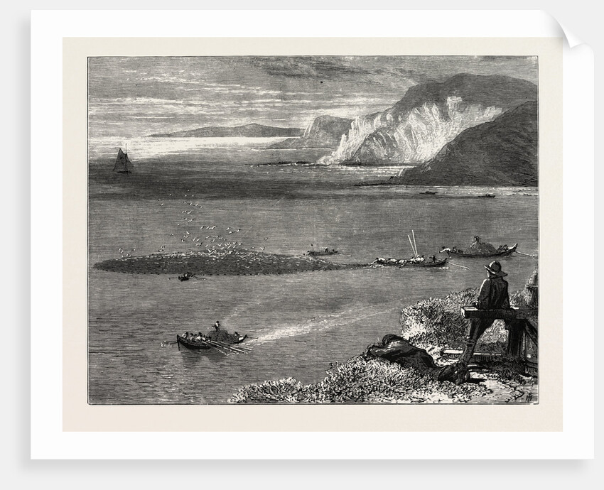 Pilchard Fishing Off the Lizard by Anonymous