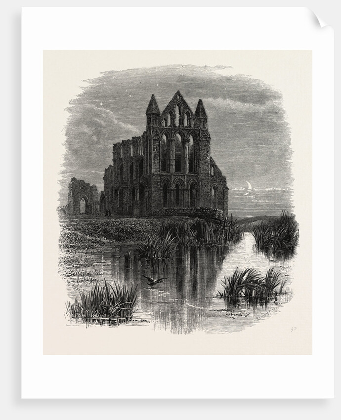 Whitby Abbey by Anonymous