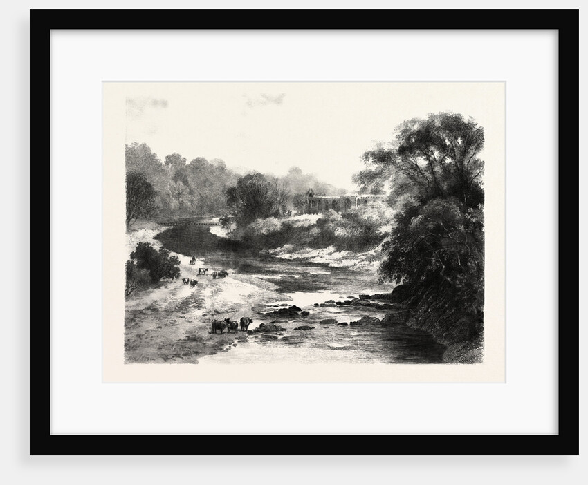 On the Wharfe, Bolton Abbey by Anonymous