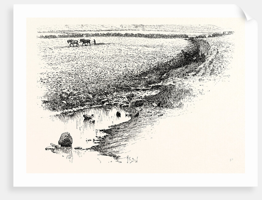 Flodden Field by Anonymous