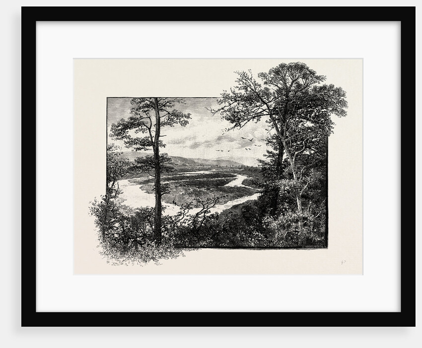 The Glen at Coupland by Anonymous