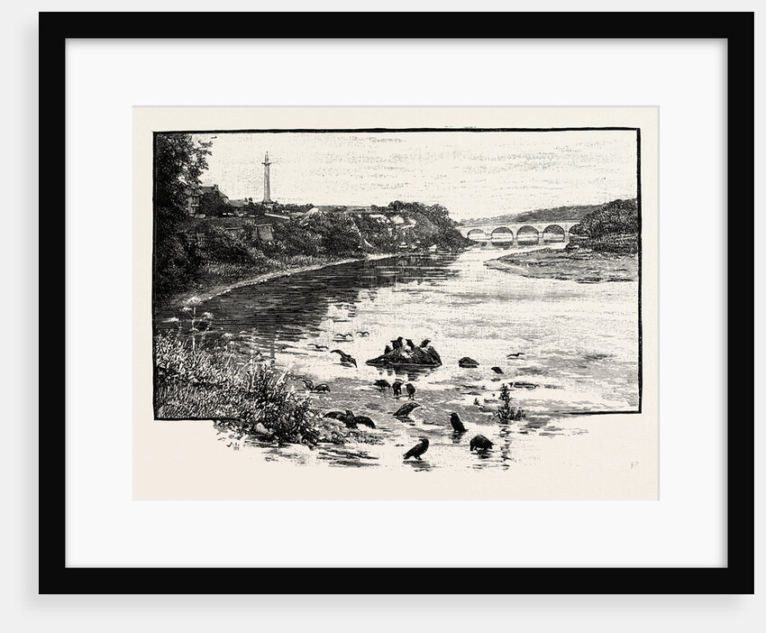 Coldstream Bridge, from Up-Stream by Anonymous