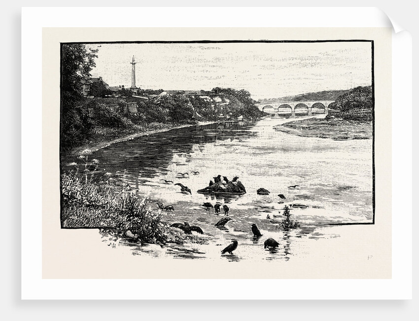 Coldstream Bridge, from Up-Stream by Anonymous
