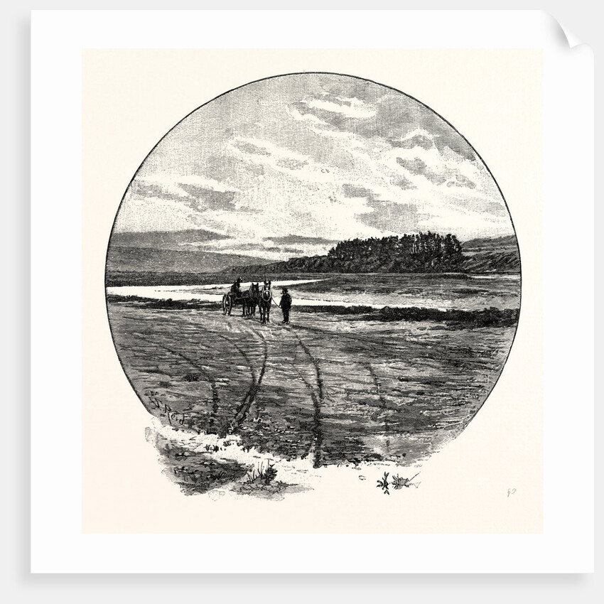 The Coquet at Farnham by Anonymous