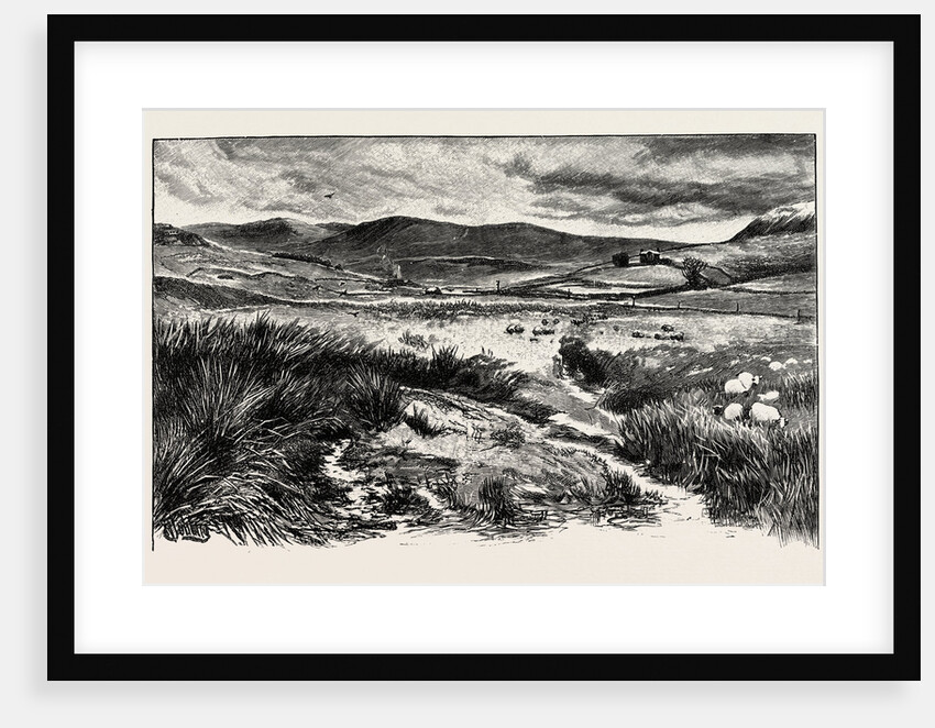 Keilder Moors (with Peel Fell to the Right) by Anonymous