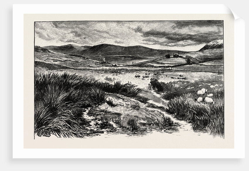 Keilder Moors (with Peel Fell to the Right) by Anonymous
