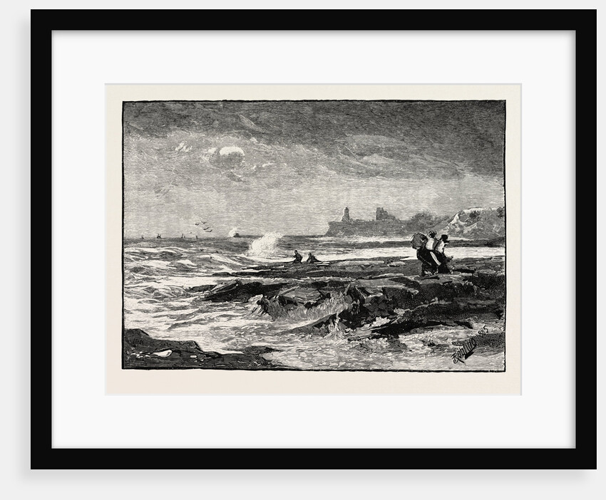 Tynemouth, from Cullercoats by Anonymous