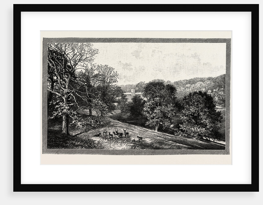 Bishop Auckland Palace and Park by Anonymous