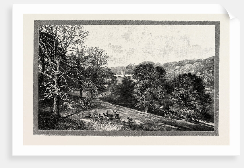 Bishop Auckland Palace and Park by Anonymous