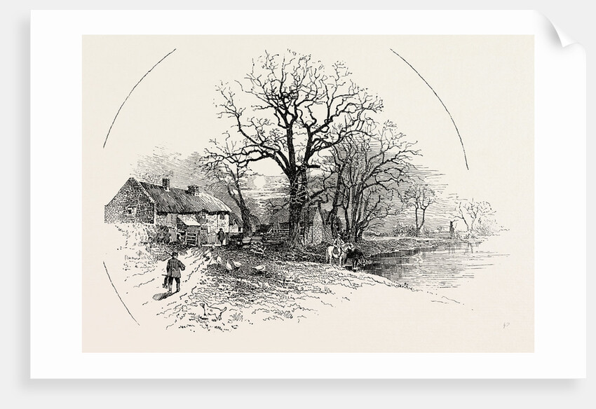 The Crow Trees, Barrow-on-Trent by Anonymous