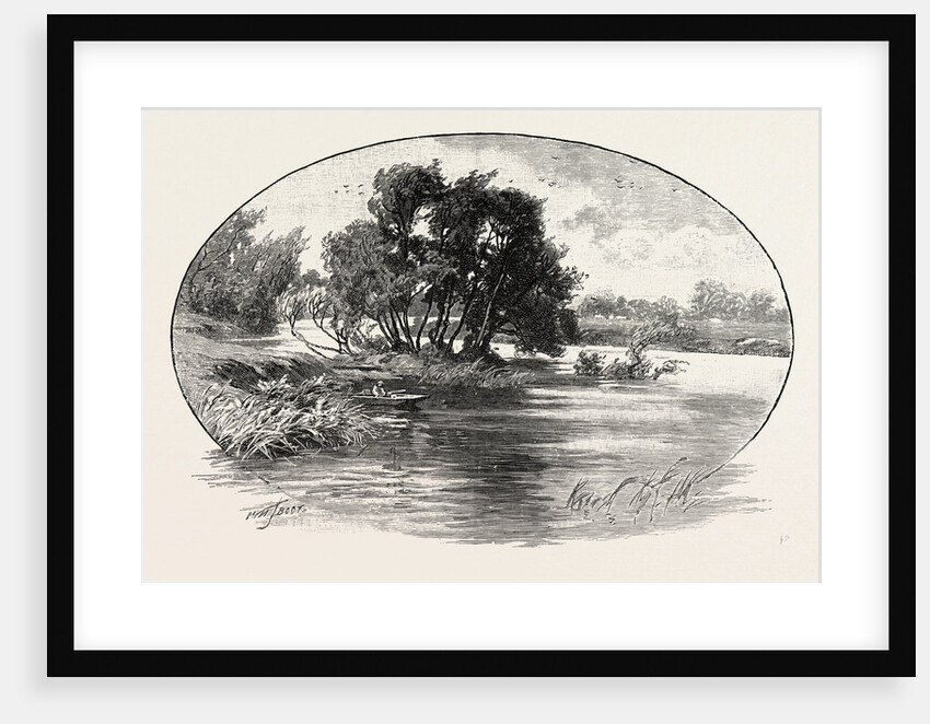 Junction of the Derwent and the Trent by Anonymous