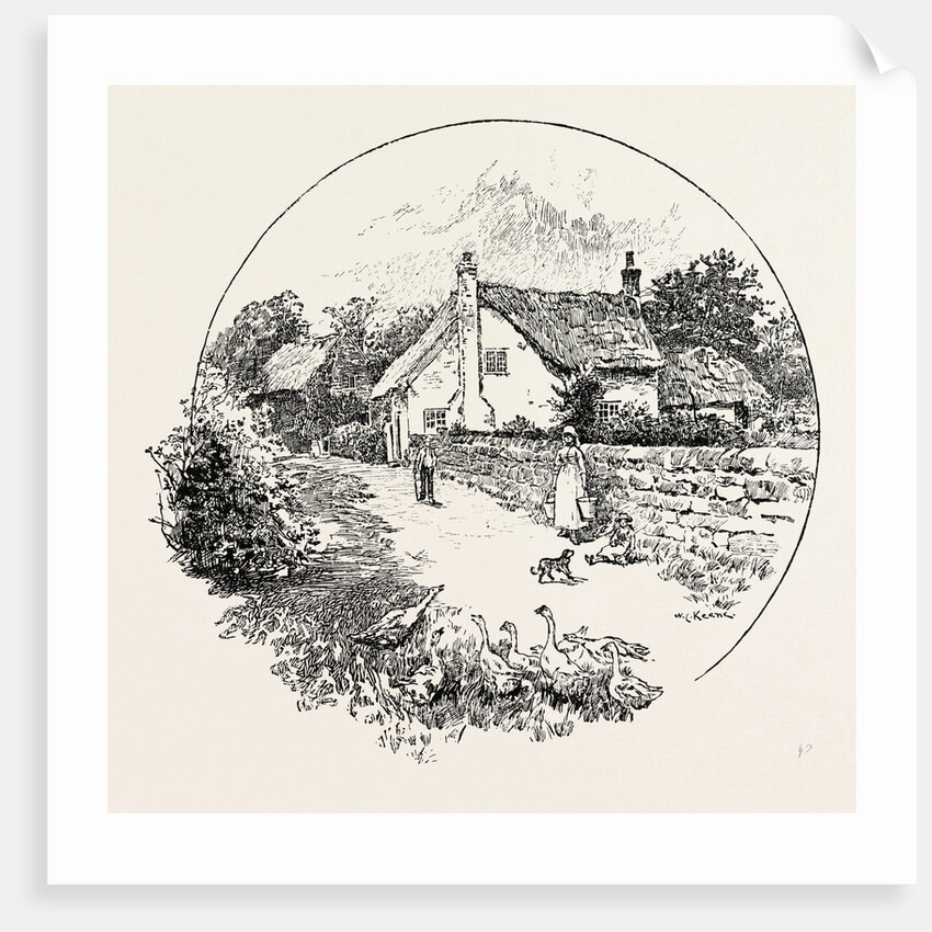 Allestree by Anonymous