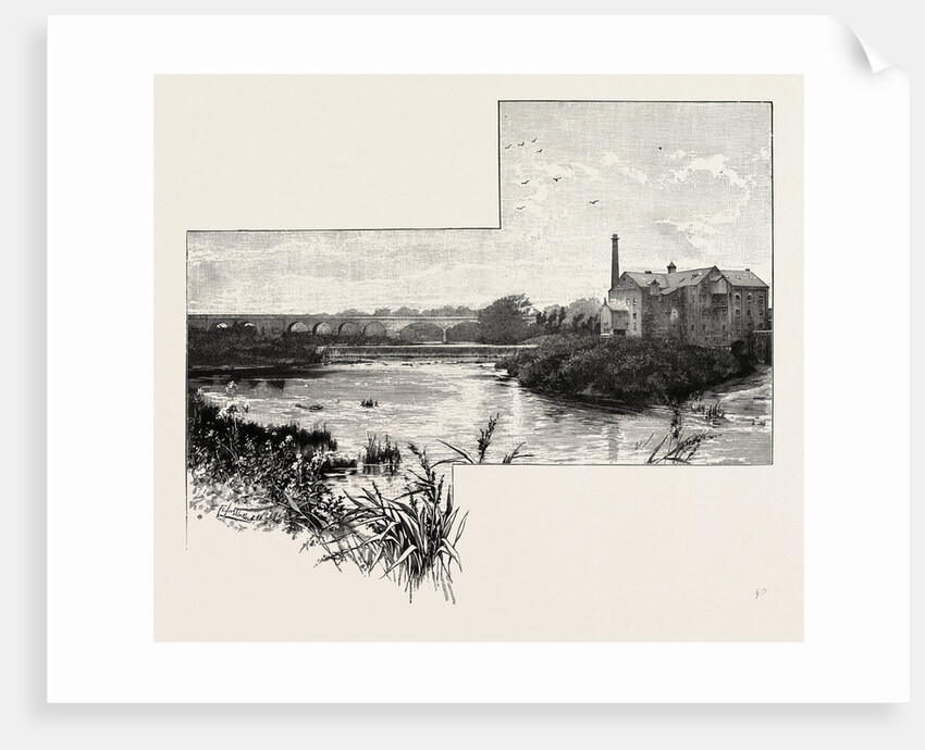 Tadcaster by Anonymous