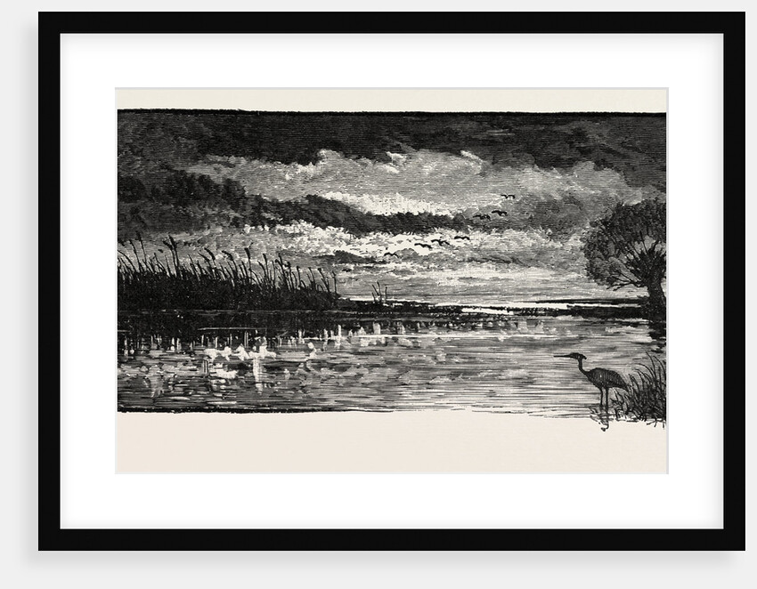 The Rivers of the Wash: A Bit of Fen by Anonymous