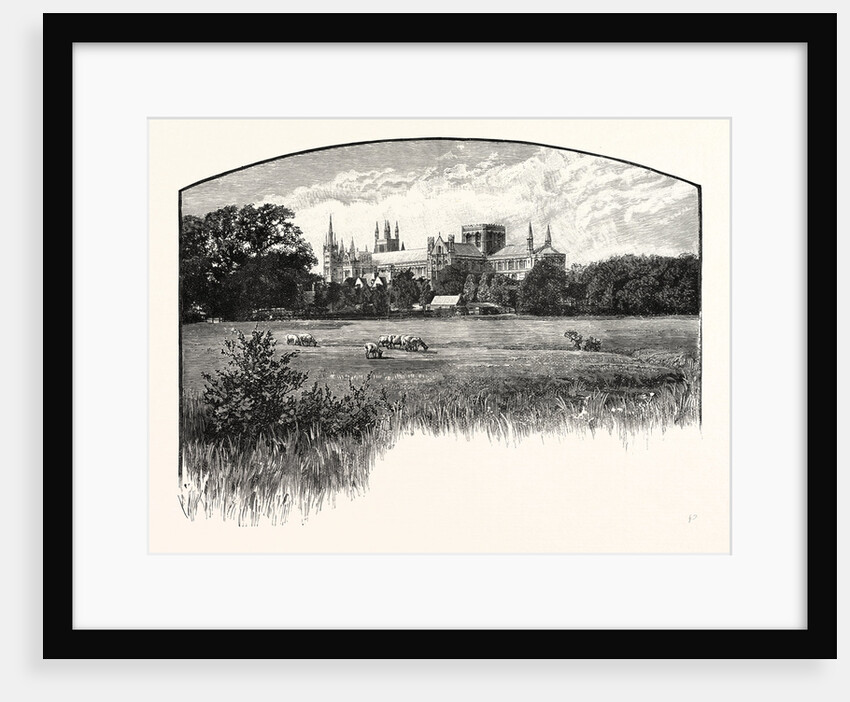Peterborough Cathedral by Anonymous