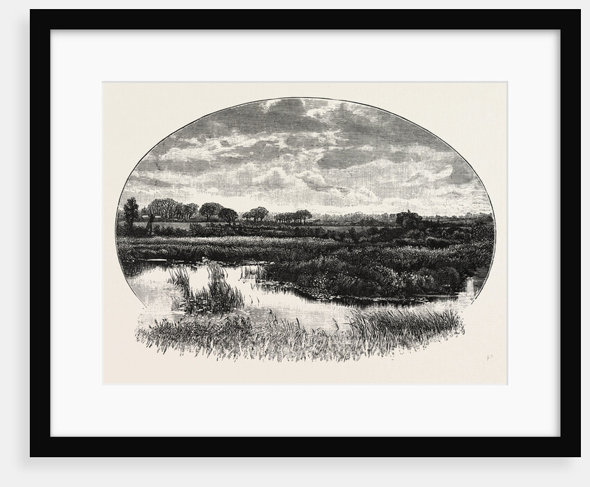 A Norfolk Broad by Anonymous