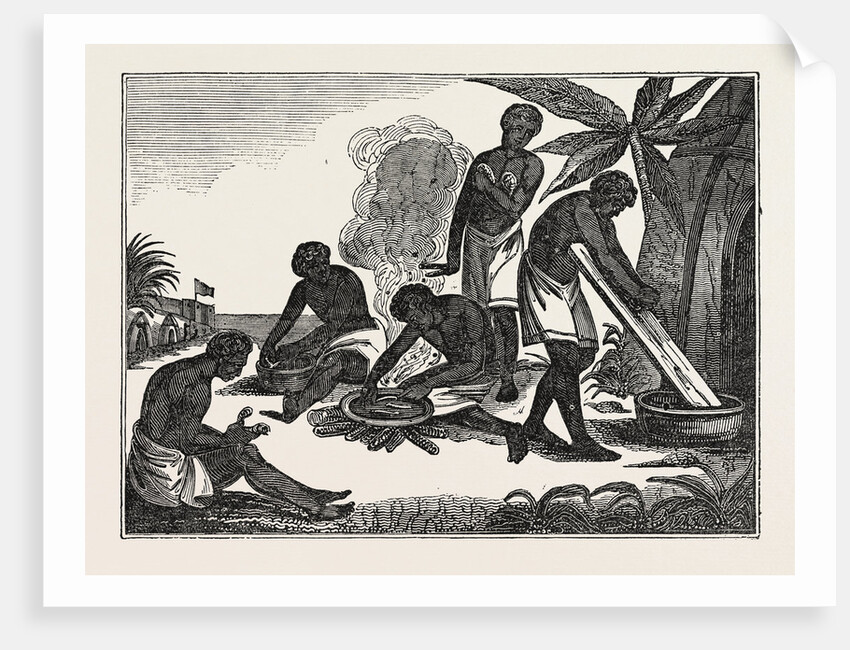 Natives of Madagascar Preparing Bread from the Manioc Root by Anonymous