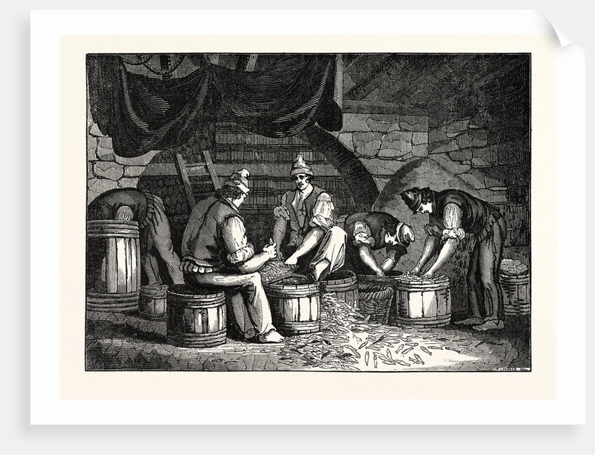 Method of Curing Anchovies in Sicily Italy by Anonymous