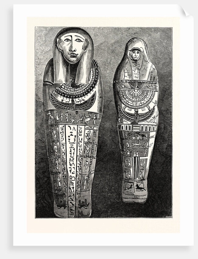 Egyptian Mummy and Case in the British Museum. London by Anonymous