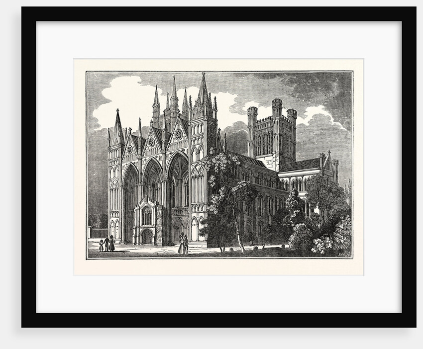 Peterborough Cathedral by Anonymous