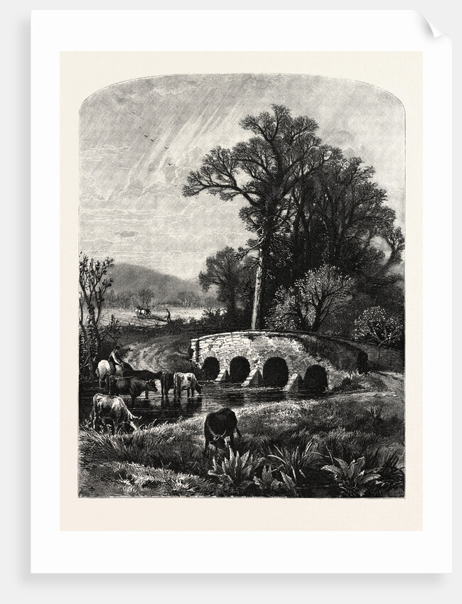 After Dark Vapors Have Oppressed Our Plains for a Long Dreary Season, Comes a Day by Anonymous