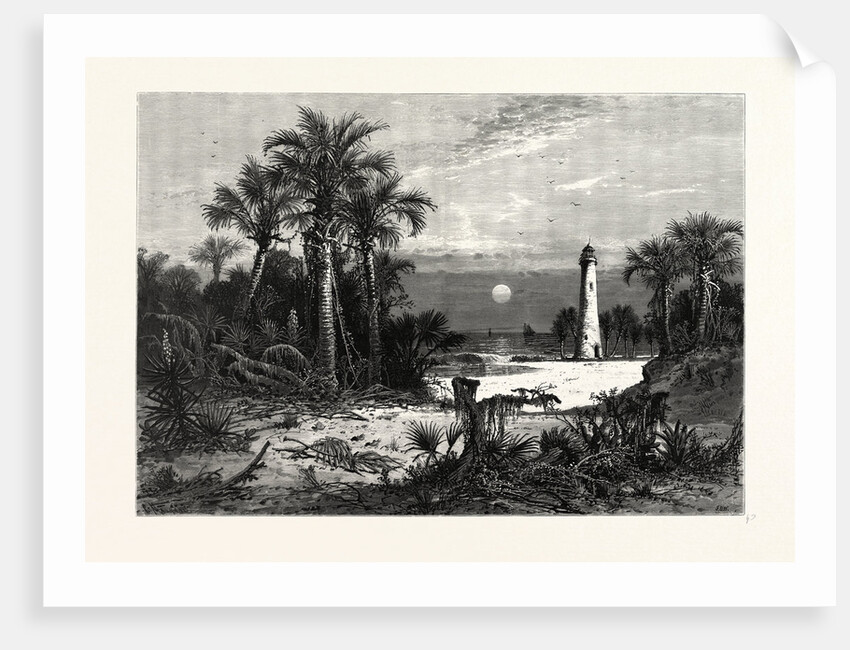 Moonrise on the Coast of Florida by Anonymous