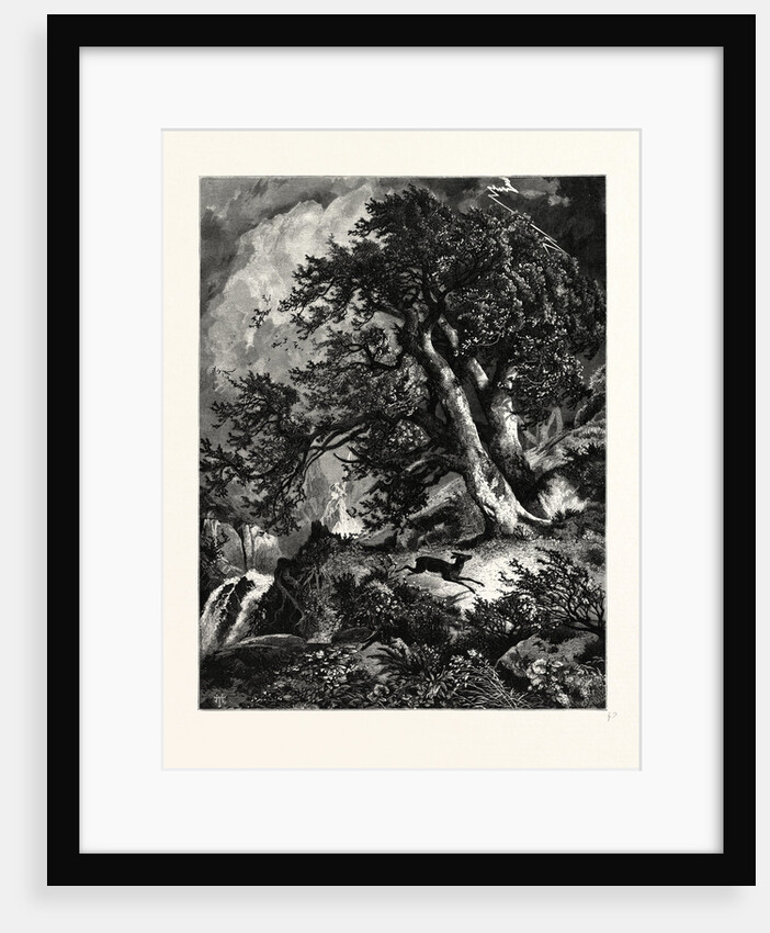 A Storm in the Mountains. by Anonymous